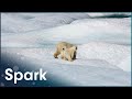 Understanding The Science Of Climate Change | Earth's Survival | Spark
