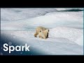 Understanding The Science Of Climate Change | Earth's Survival | Spark