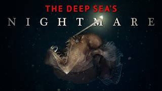 This Deep Sea Fish Breaks Every Rule
