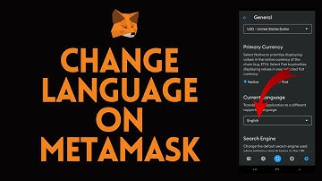 How to Change Language on Metamask (2023)