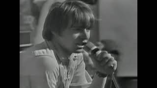 The Yardbirds - Over Under Sideways Down (Live in Cheville, France - 1967)