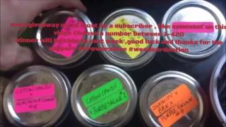 100 sub goal  Durban Poison seed giveaway