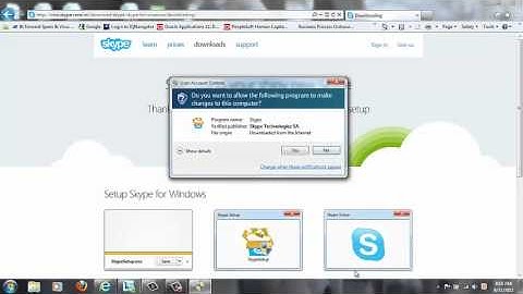 Step 1 of 3: Skype Installation