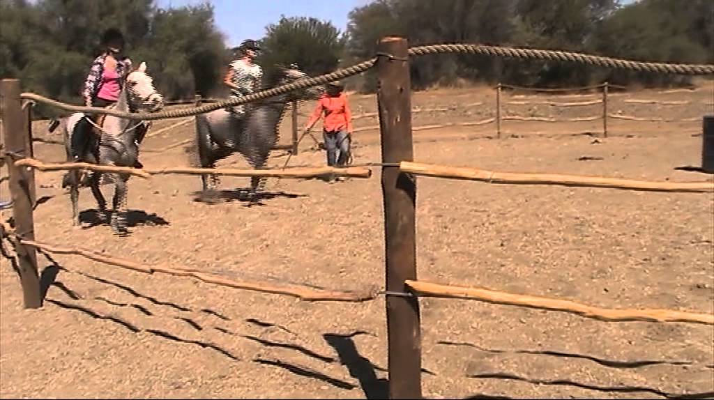 Girls Trotting On Bella And Amanda In Round Pen video 49