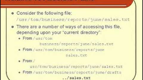 Linux and Unix Basics : Relative vs Absolute Paths