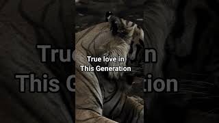 Stop Searching For Love Focus On Money, Goals & Respect