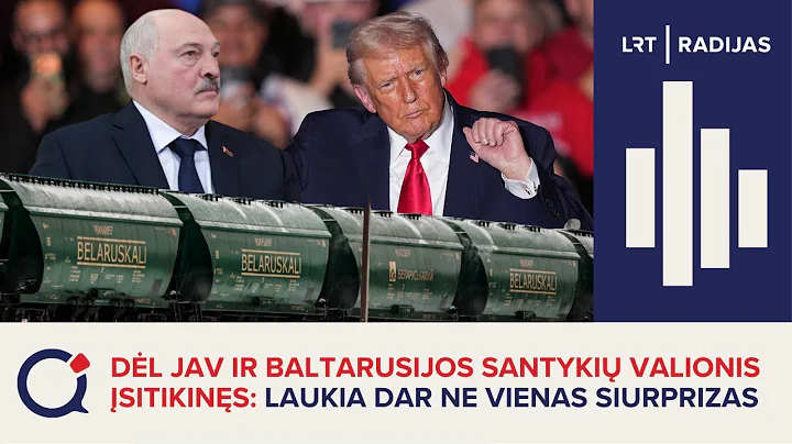 VU TSPMI dirbanti baltarusė apie paslaptingas JAV ir Baltarusijos derybas: gyvename juodoje dežėje