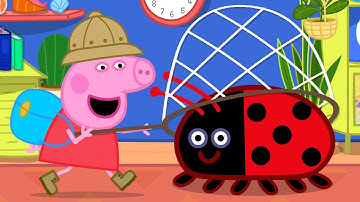 Peppa Pig Tales 🐞 Peppa Catches a GIANT Bug 🪰 BRAND NEW Peppa Pig Episodes