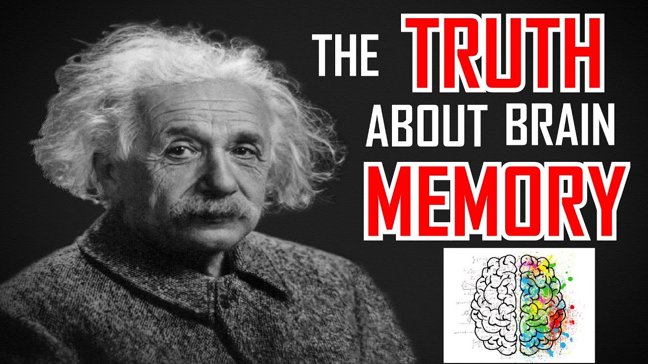 How Human Memory Works | What Is Memories Meant To You? - YouTube