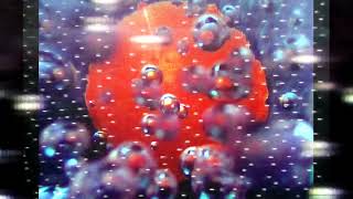 Grebo Gray - Interlude # 16