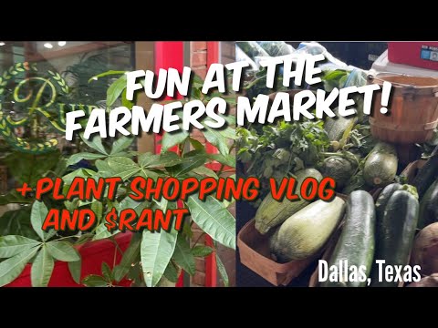 292:👩🏽‍🌾 Dallas Farmers