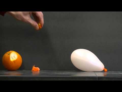 Pop a balloon with an orange peel!  Simple Science Experiment!