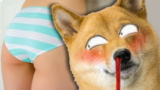 Der Perverseste Hund Der Welt Montaro - Saftiges Gnu