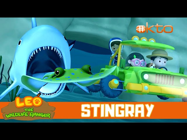 Let's rescue the STINGRAY stuck under a ROCK! | Leo the Wildlife Ranger S3E07 | @mediacorpokto class=