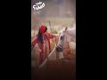 خميس مشيط ورجال ألمع ضمن جولة على فين الختامية في جنوب السعودية