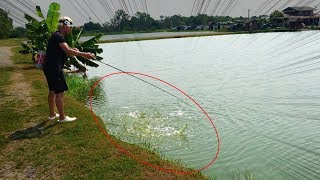 巨大魚だらけの池をかき混ぜる。すると・・・！！！