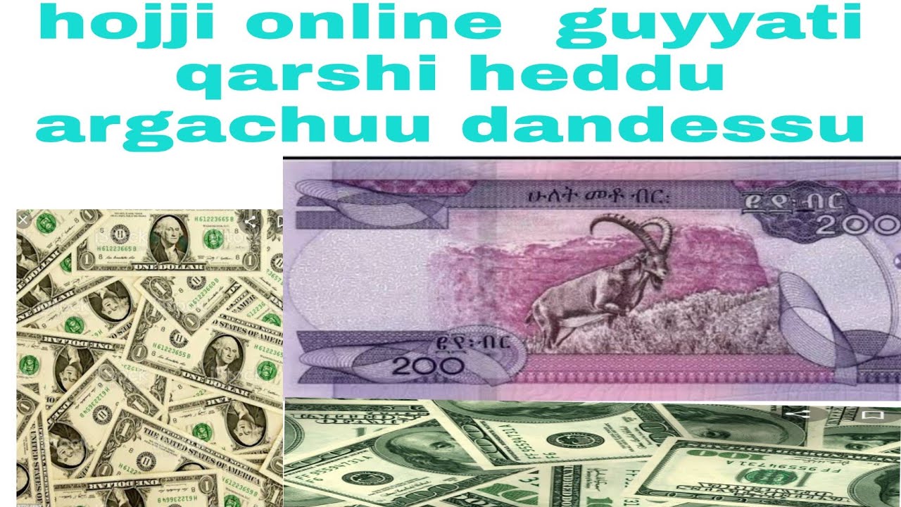 hojii online haala salphaatan hojannu