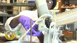 The Sizzle of Science