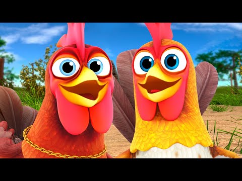 🐓 GALLO GALLO