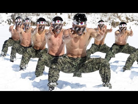 Vídeo: El único Combate Cuerpo A Cuerpo Del Mundo De Personas Y Perros Con Fascistas - Vista Alternativa