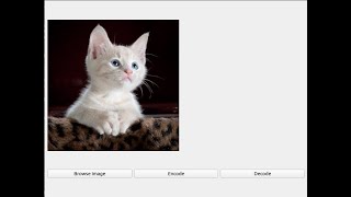 Steganography LSB Demo