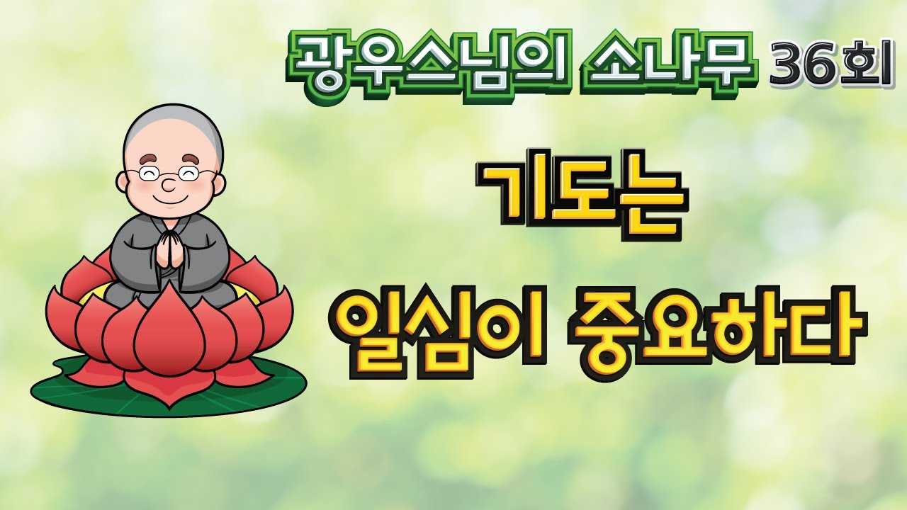기도는 일심이 중요하다 | 광우스님의 소나무 36회