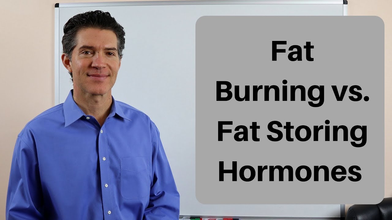 Fat Burning vs Fat Storing Hormones YouTube