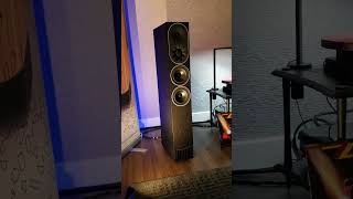 Pmc And Michi Toronto Audiofest 2025