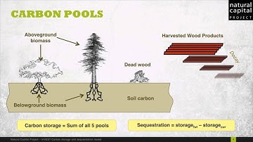 Introduction to the InVEST Carbon Model