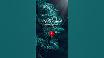 الآيات 10-11-12 من سورة نوح بصوت الشيخ فارس عباد