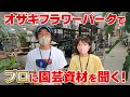 ＜後悔しない鉢選び＞観葉植物のプロが教える！賢い園芸資材の選び方【土/肥料/消毒剤】
