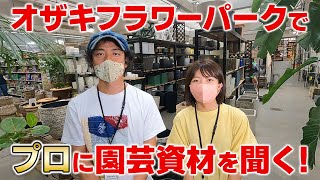 ＜後悔しない鉢選び＞観葉植物のプロが教える！賢い園芸資材の選び方【土/肥料/消毒剤】