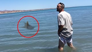 30 Scariest Animal Encounters of The Year (Part 4)
