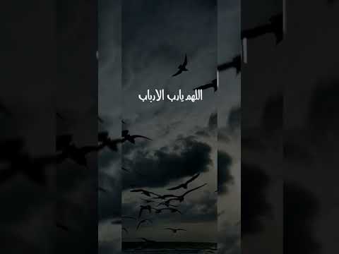 اللهم يا سامع الصوت