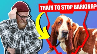 How To Stop Your BASSET HOUND Barking by Fenrir Basset Hound Show 6,555 views 3 years ago 17 minutes