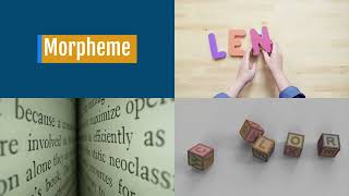 ESL Supplemental Key Concepts - Morphology