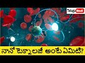 Nanotechnology Explained in Telugu | What is Nano Technology in Telugu | Telugu Badi