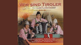 Video thumbnail of "Mondscheintrio - Allweil lustig"