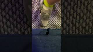 Christian Dior Jordan one