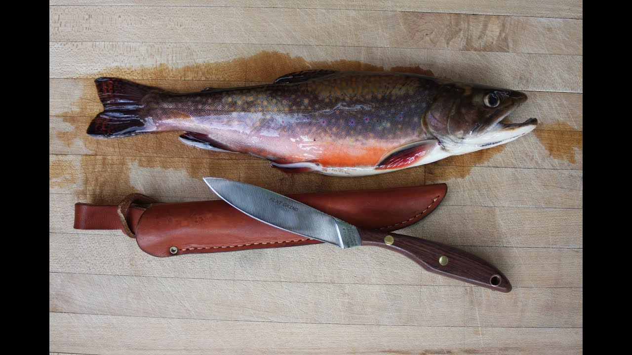 How to Catch A Limit of Brook Trout Summer Edition (Part 1 of 4) YouTube