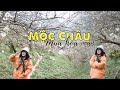 Phượt Mộc châu mùa hoa mận | Review Thung lũng mận Mu Náu | Yến Vi Vu