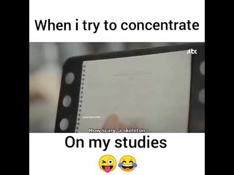 Studying 😆