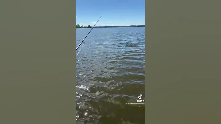 Bass fishing Potomac River