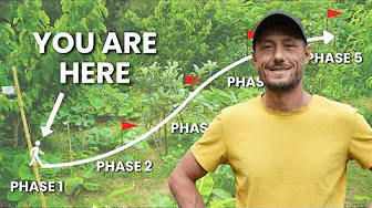 How to Create a Food Forest Property (5 Steps)