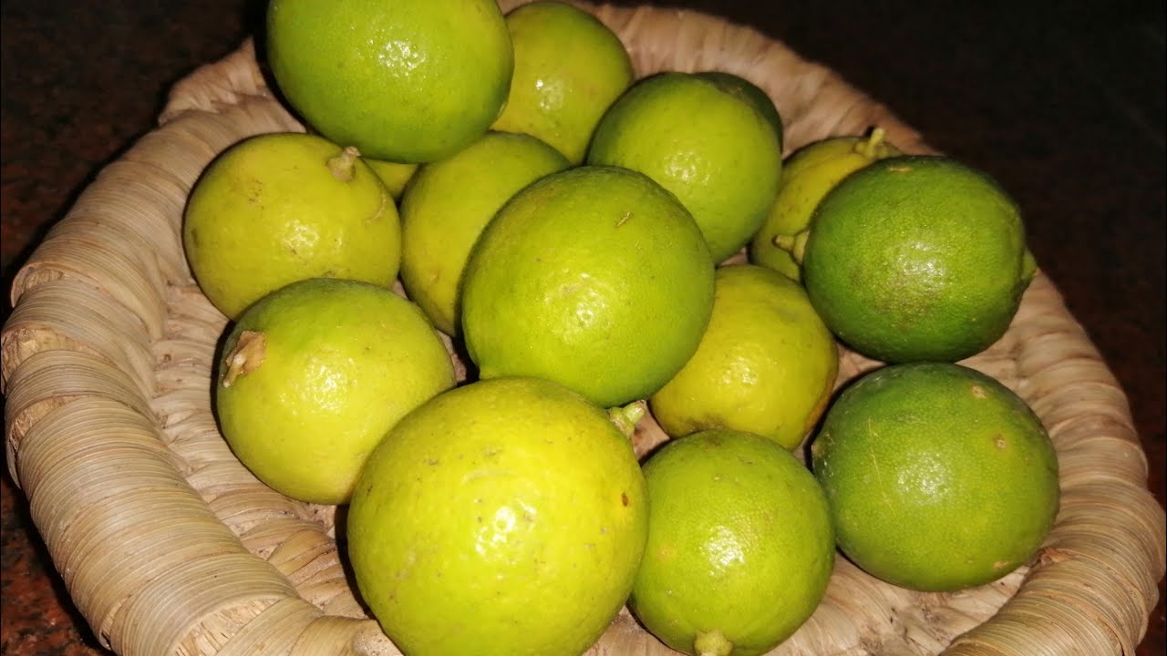 نصيحه الليمون لما يجف وينشف اوعوا ترموه وتتخلصوا منه وكمان قشر الليمون وهتعرفوا السبب 🍋