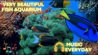 Very Beautiful Fish Aquarium Natural Music | No Copyright | Royalty FREE | Download FREE