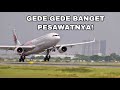 PESAWAT SPECIAL LIVERY BESAR-BESAR LANDING DI SOEKARNO HATTA! PLANE SPOTTING CGK!