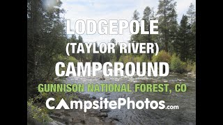 Lodgepole (Taylor River) Campground - Gunnison National Forest, CO