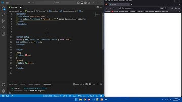 Class Binding || using ternary operator with vue js 3