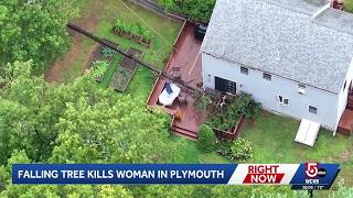 Plymouth woman dies after being struck by falling tree while on her porch